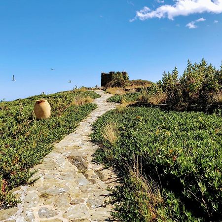Isla Privada en Cadaqués de ensueño con 11 habitaciones dobles con baño privado y piscina Esterno foto