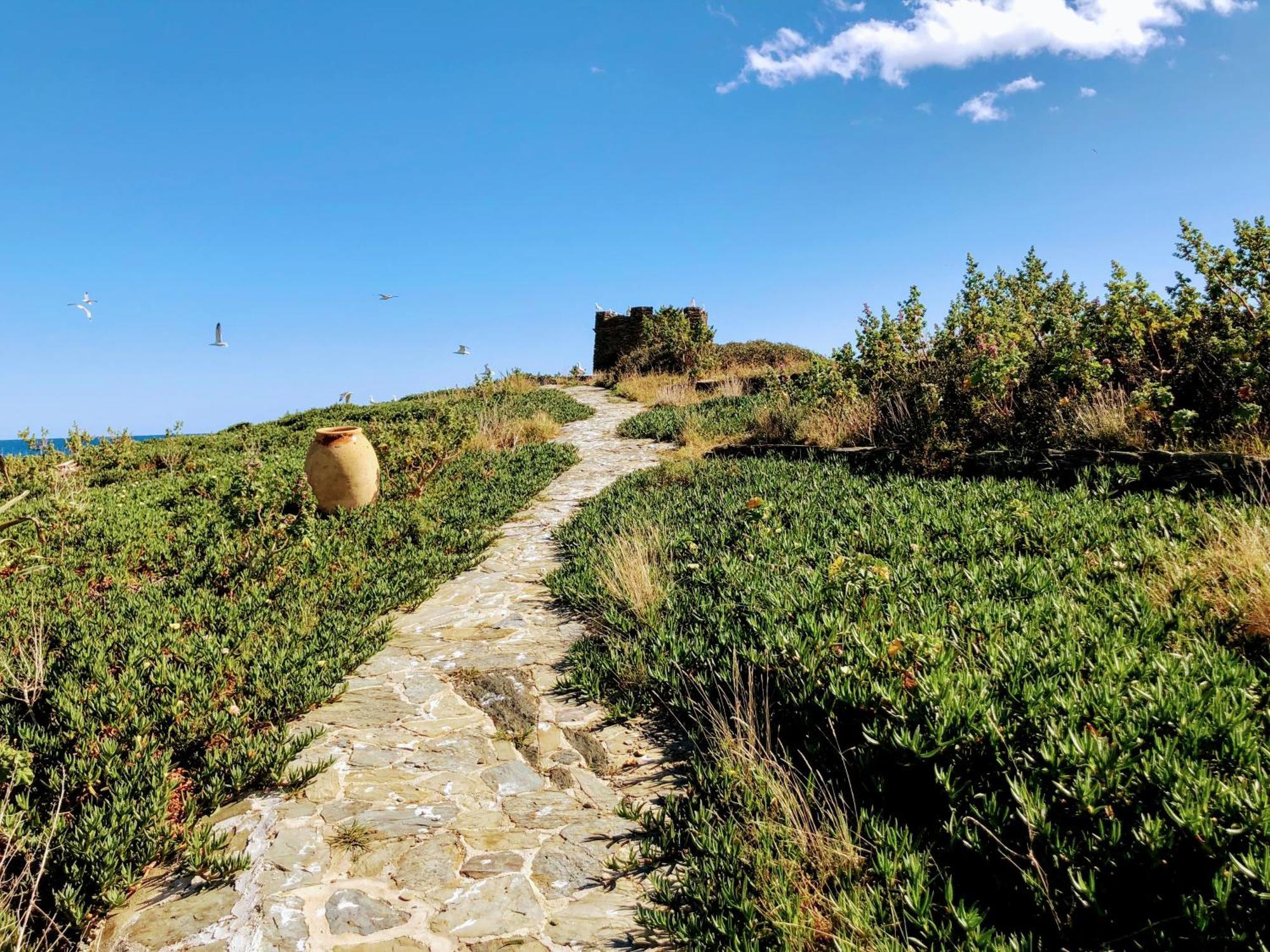 Isla Privada en Cadaqués de ensueño con 11 habitaciones dobles con baño privado y piscina Esterno foto