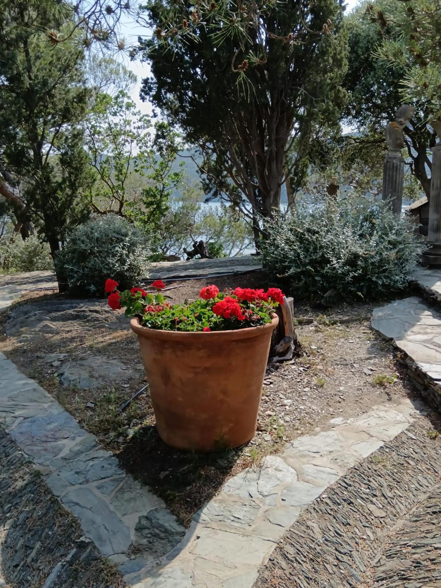 Isla Privada en Cadaqués de ensueño con 11 habitaciones dobles con baño privado y piscina Esterno foto