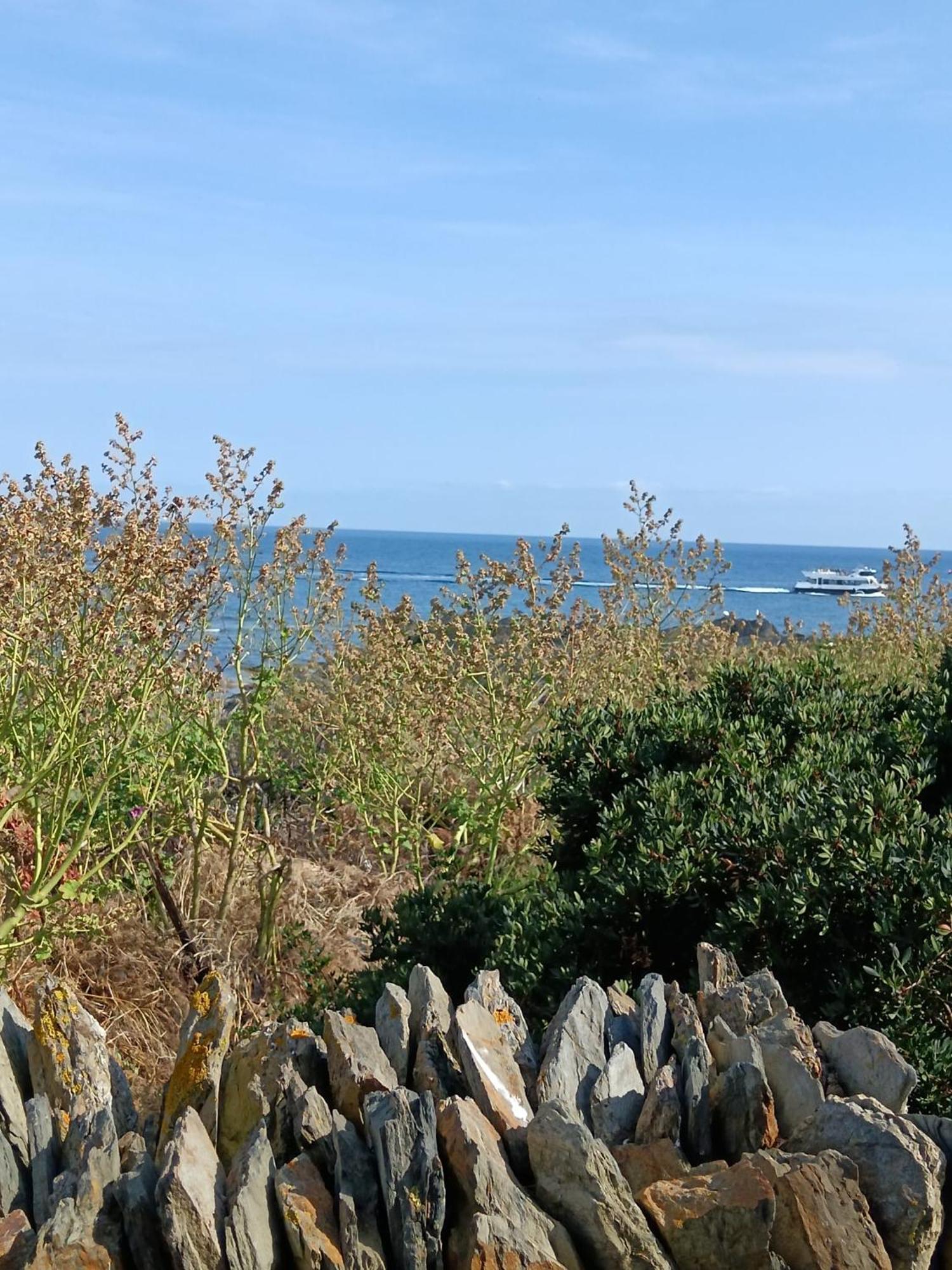 Isla Privada en Cadaqués de ensueño con 11 habitaciones dobles con baño privado y piscina Esterno foto