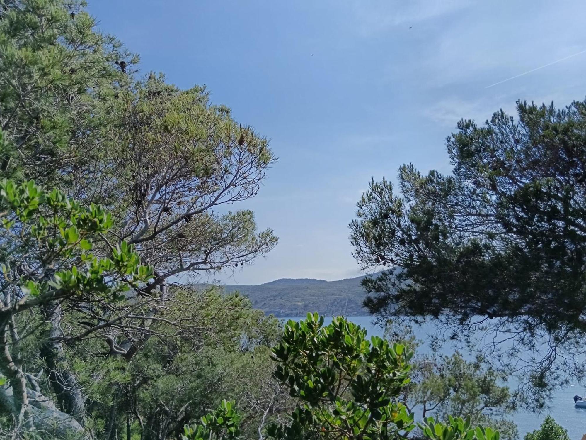 Isla Privada en Cadaqués de ensueño con 11 habitaciones dobles con baño privado y piscina Esterno foto